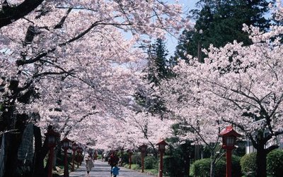 ⛩️ 스즈미가오카 하치만 신사 (스즈미가오카하치만진자) 이미지 2